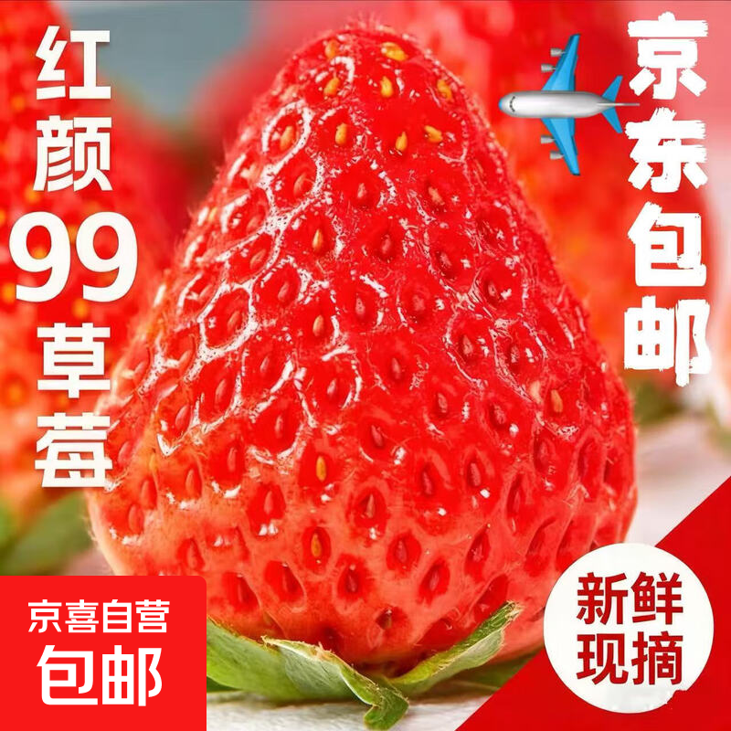 【陆运礼箱】正宗大凉山红颜奶油草莓整箱99牛奶冬草莓草莓川果 整箱2斤四盒装10g+中小果