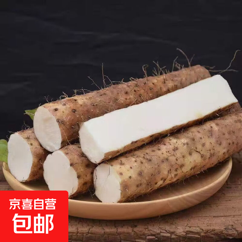 【东东买菜】新鲜粉糯河北农家现挖小白嘴山药蔬菜儿童辅食山药 带包装500g15cm以上
