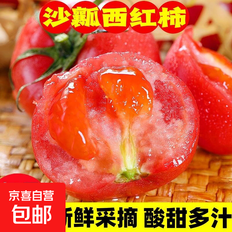【宝宝果】现摘攀枝花新鲜沙瓤西红柿酸甜多汁蔬菜生鲜单果50-80g 带箱5斤单果50g+ 5斤