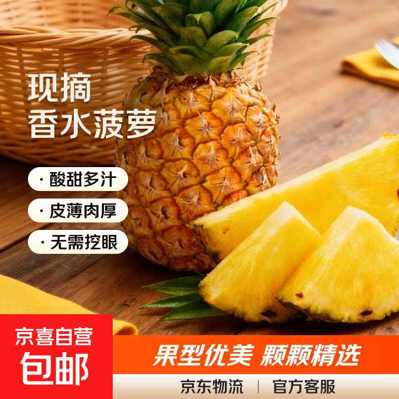 广东徐闻香水菠萝生鲜时令应季热带水果孕妇水果源头产地直发包邮 【活动专享】1个装 单果1.2斤起