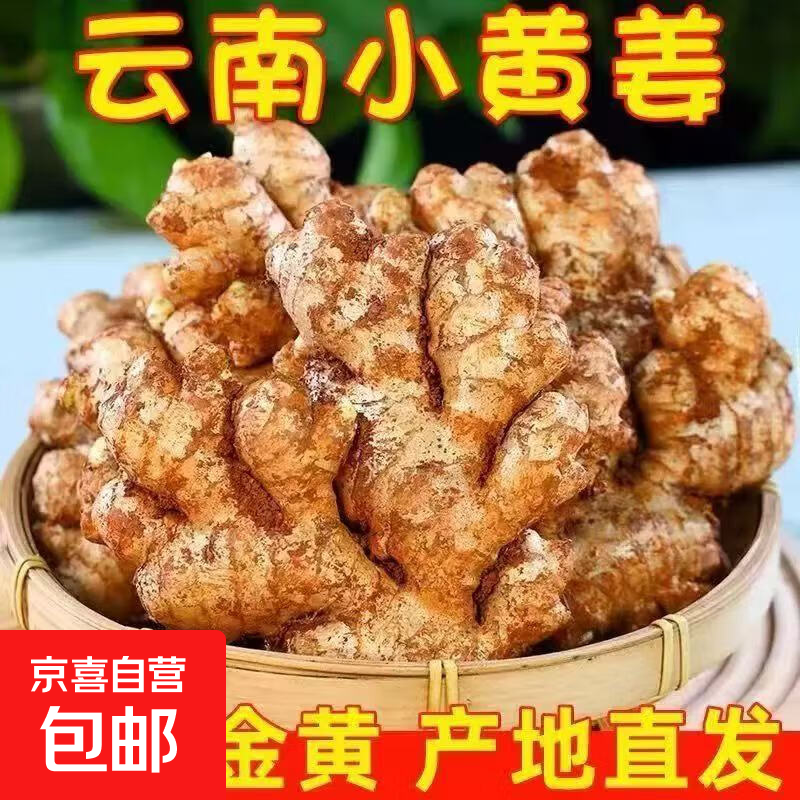 【东东买菜】云南小黄姜新鲜生姜农家自种食用月子姜带泥发货 净重2.7斤