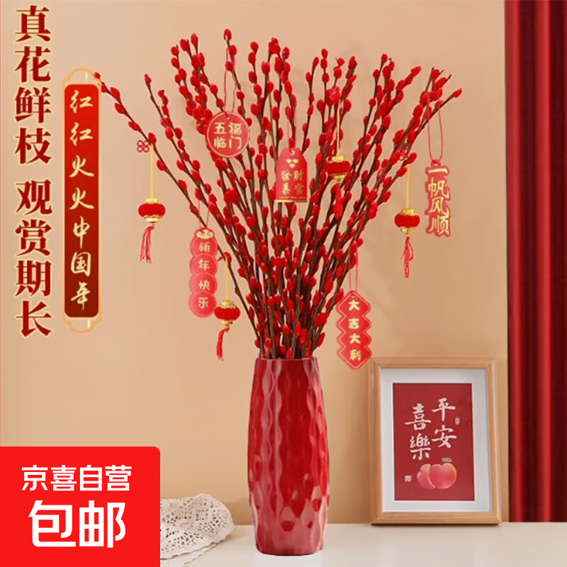 ���� ��ɫ��֦�ɻ��ڼ� 45cm10֧+ƿ+�Ҽ�10�� ��������в������������� 2.8Ԫ