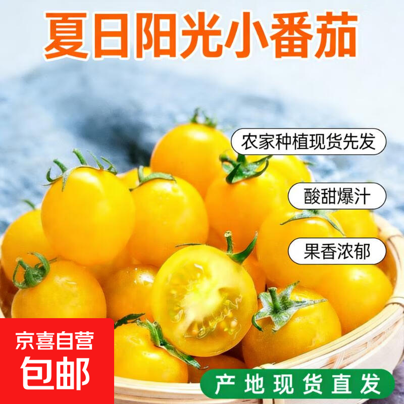 黄色千禧夏日阳光小番茄樱桃圣女果水果小柿子自然熟减肥减脂生吃 1斤