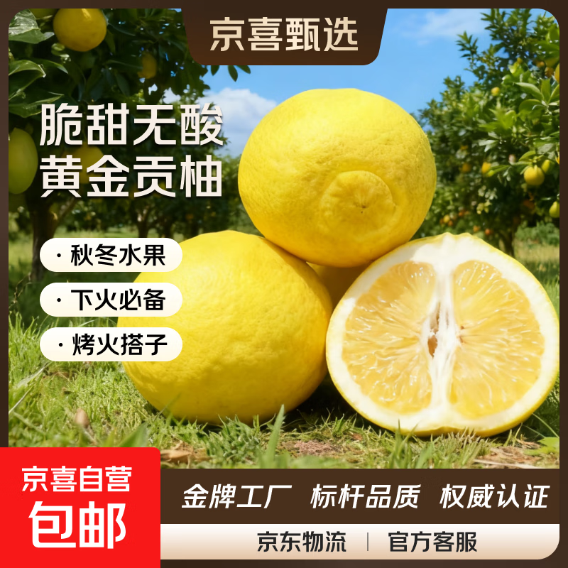 桔柚正宗湖南怀化黔阳黄金贡柚春香桔柚新鲜象山青甜雪峰小柚子 2粒单果60mm起