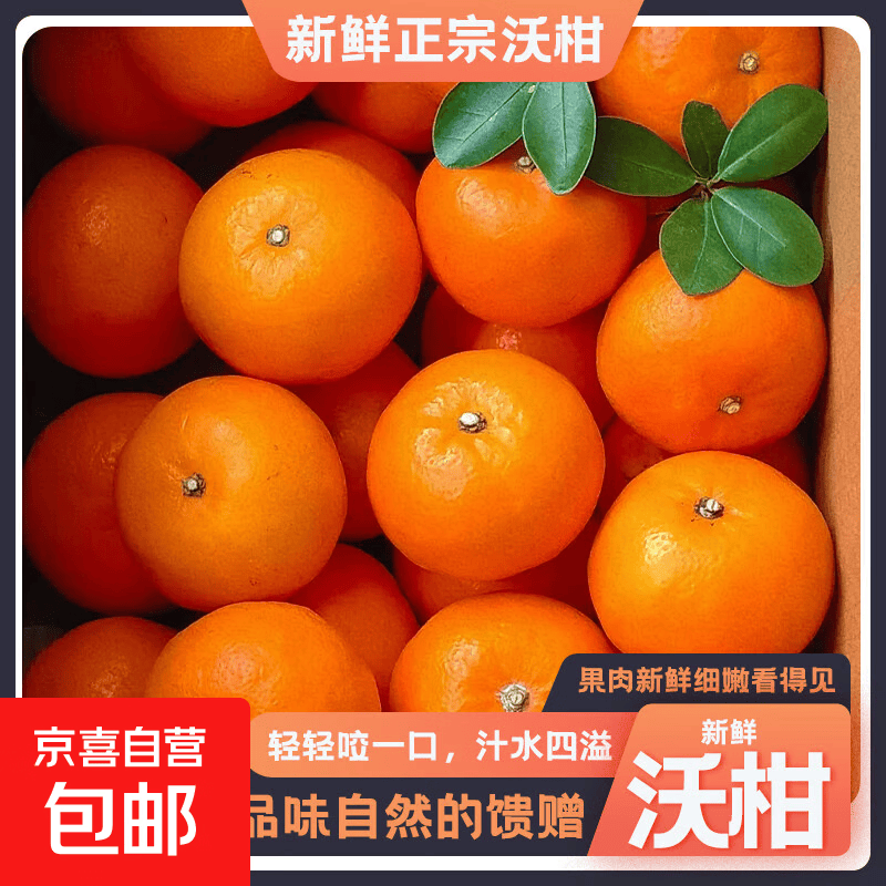 正宗广西沃柑新鲜孕妇当季水果橘子桔子水果应季整箱现摘包邮皮薄 大果（单果65-70mm） 9斤带箱净重8.5斤+