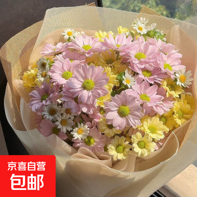 �ٽ��ۣ������ʻ� ����˹С���� ��ɫС�� ��ʾ� ������ջ� ���5֦ ����ֱ�� ͬ���ٵ� 9.9Ԫ(����ȯ)