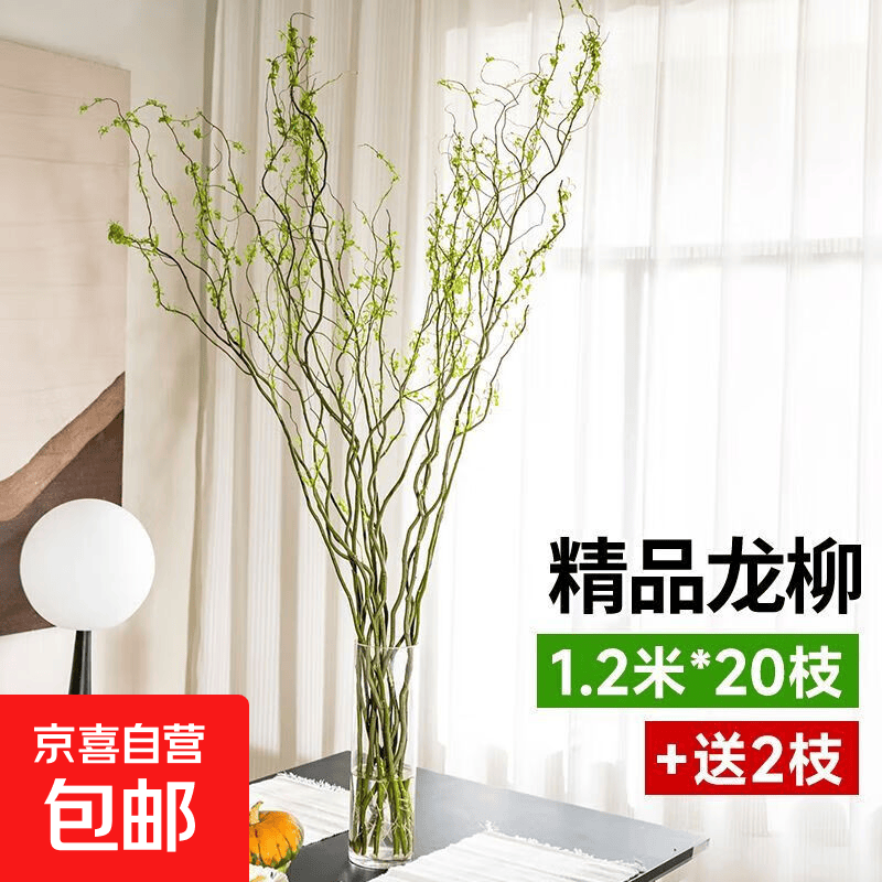 粗龙柳鲜枝水养落地摆放室内客厅水培植物盆栽四季好养植物好成活 精选1.2米高龙柳（造型优美）20枝+送2枝