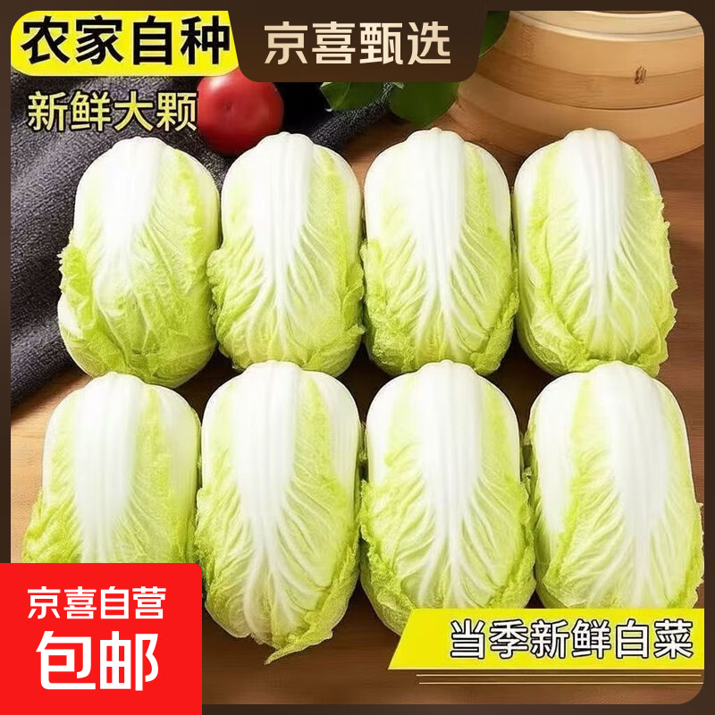 2025新鲜黄心大娃娃菜大白菜蔬菜辣白菜酸菜包心菜黄心白菜 新鲜娃娃菜3斤