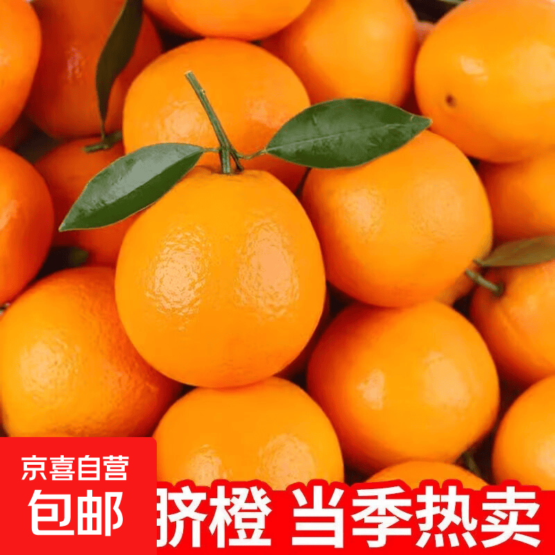 正宗纽荷尔脐橙8斤装新鲜孕妇水果湖南应当季手剥冰糖甜橙子整箱 带箱2斤65-75mm中果尝鲜装