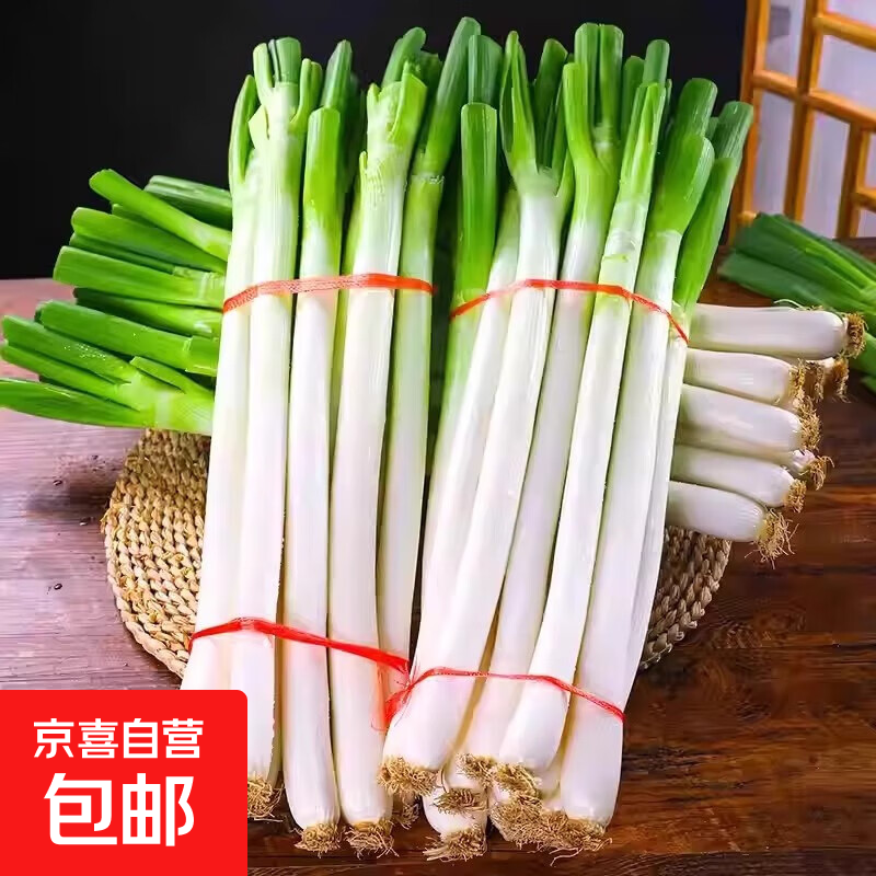 山东大葱新鲜9斤装甜葱铁杆大葱非章丘长白毛葱蘸酱嫩葱批发便宜 山东铁杆大葱-带脏皮去半叶【5斤装】