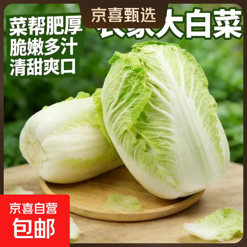山东霜打黄心大白菜新鲜超市品质采摘地里现拔农家自种 大白菜4斤-4.5斤