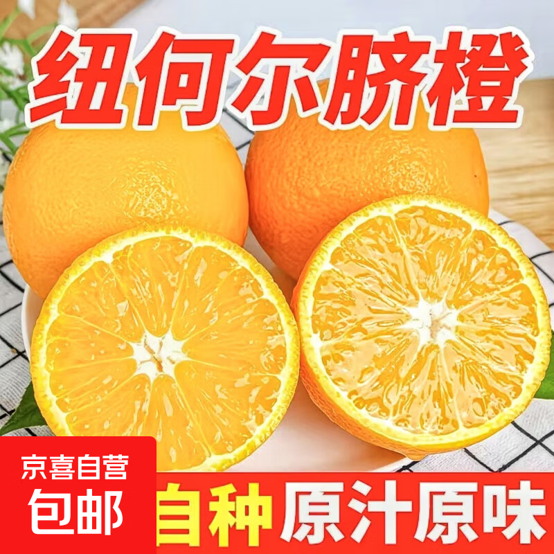 正宗纯甜纽荷尔脐橙子新鲜水果非江西赣州赣南当季大果批发现摘 带箱5斤 橙王85+mm