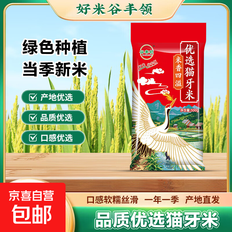 南方猫牙米新米软香长粒香大米煲仔饭炒饭一级清香米 优选猫牙米500g