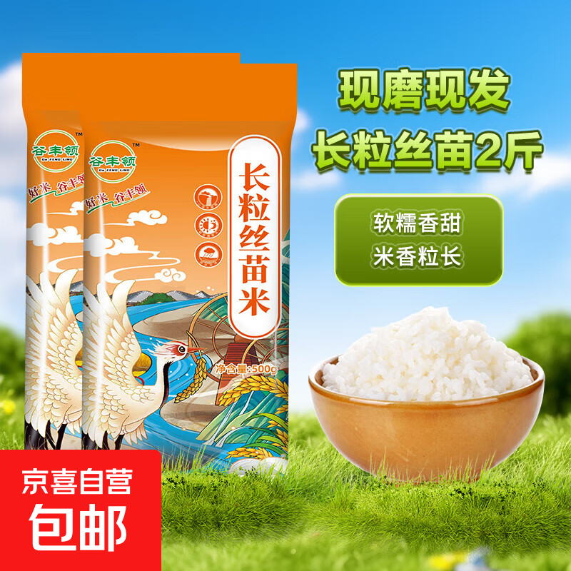 当季新米软香丝苗米晚稻籼米长粒香大米猫牙米煲仔饭丝苗米 长粒丝苗米1KG