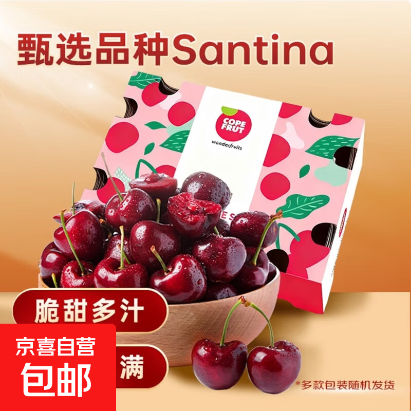 【1月5日原箱预售】桑提娜智利车厘子【包装随机】樱桃儿童孕妇 2500g(净重) 进口原箱【礼赠佳品】 巨无霸3J 单果30-32mm
