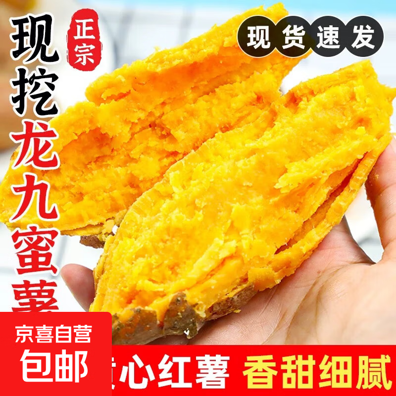 现挖沙地蜜薯空气炸锅红薯沙地板栗薯新鲜自种龙九正宗黄心香甜 沙地蜜薯 1斤 带箱 中小果