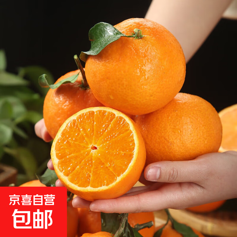 甄选爱媛38号果冻橙 新鲜生鲜水果 橙子橘子 现摘现发 只做好品质 甄选带箱3斤装【实惠】 果径60mm-70mm