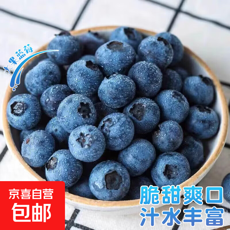 云南国产蓝莓【JD快递多地次日达】超大果蓝莓 孕妇新鲜水果精选 2盒装 多买多划算【90-115g/盒】 中果【单果15mm+】