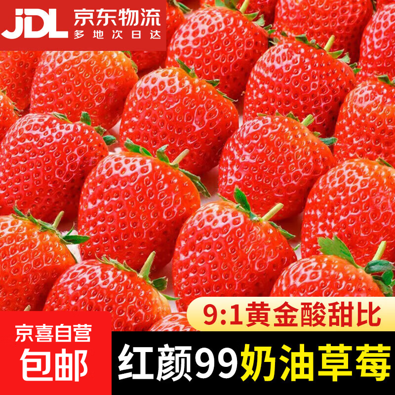 大凉山红颜草莓99牛奶油草莓【多地次日达】非丹东草莓水果礼品盒 出口级果【单果25g+】 3斤礼箱装【很划算】净重2.5斤