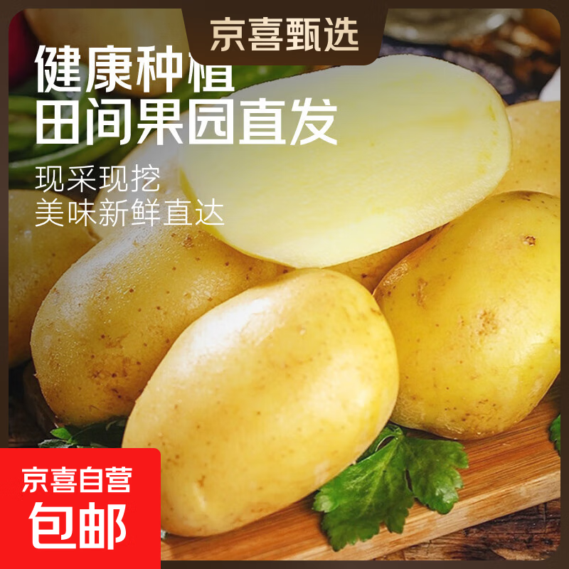 河南新鲜黄皮黄心土豆现挖洋芋土豆马铃薯 新鲜现货河南产地直发 黄心土豆 中果 2斤