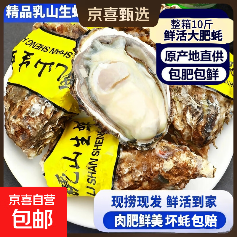 鲜活乳山生蚝新鲜正宗乳山牡蛎海蛎子5斤箱/10斤箱 特大现捞 6XL蚝王(11-18只每箱)带箱10斤