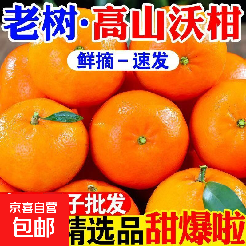 【广西直发】2025头茬武鸣沃柑当季新鲜孕妇桔子水果产地整箱批发 沃柑带箱9斤（果经55mm+）