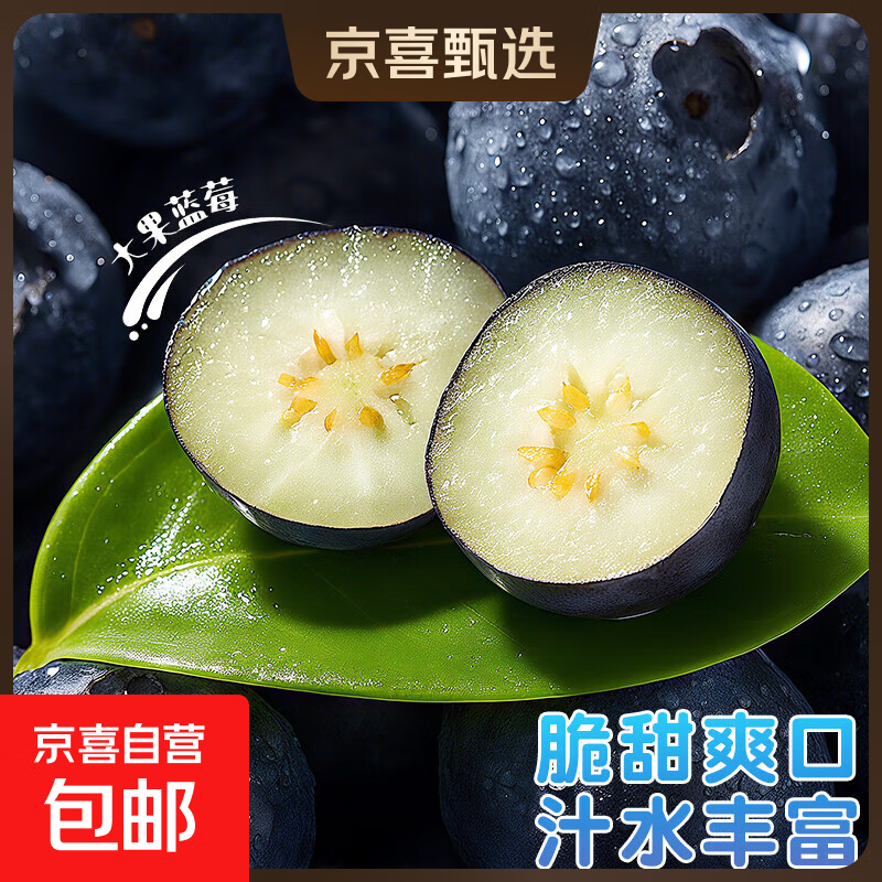 云南蓝莓【JD快递多地次日达】超大果蓝莓 孕妇新鲜水果精选送礼 2盒装 多买多划算【90-115g/盒】 中果【单果15mm+】