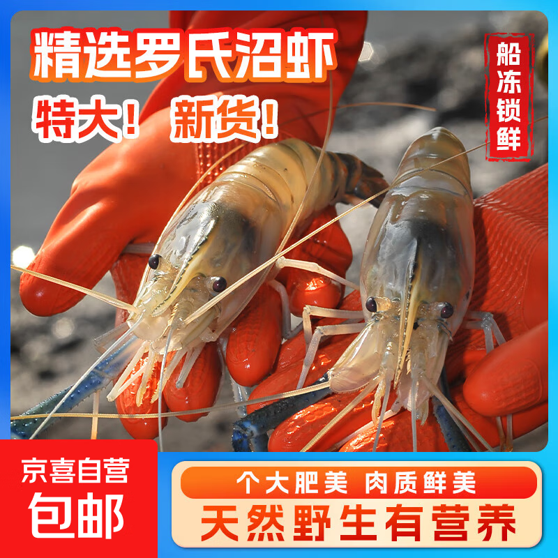 罗氏虾沼虾新鲜大虾速冻大头鲜虾巨型基围虾超大海鲜水产鲜活虾类 精选特大号罗氏虾 500g(净重)  1盒【11只左右】