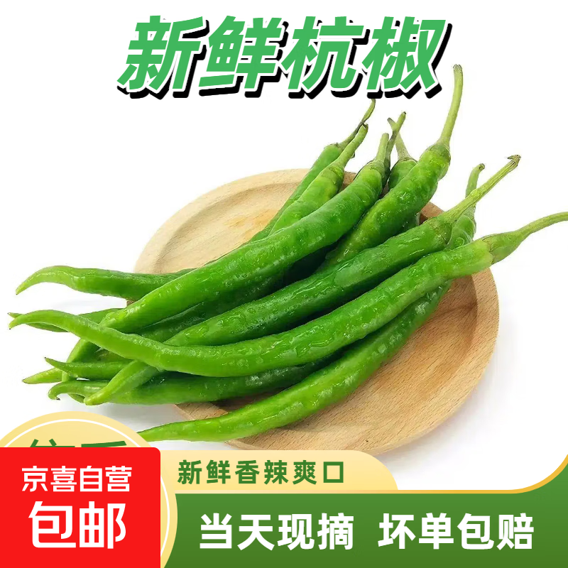 新鲜杭椒现摘薄皮辣椒青辣椒剁椒辣椒青杭椒微辣山东发货青尖椒 带箱【1.1斤】现摘杭椒