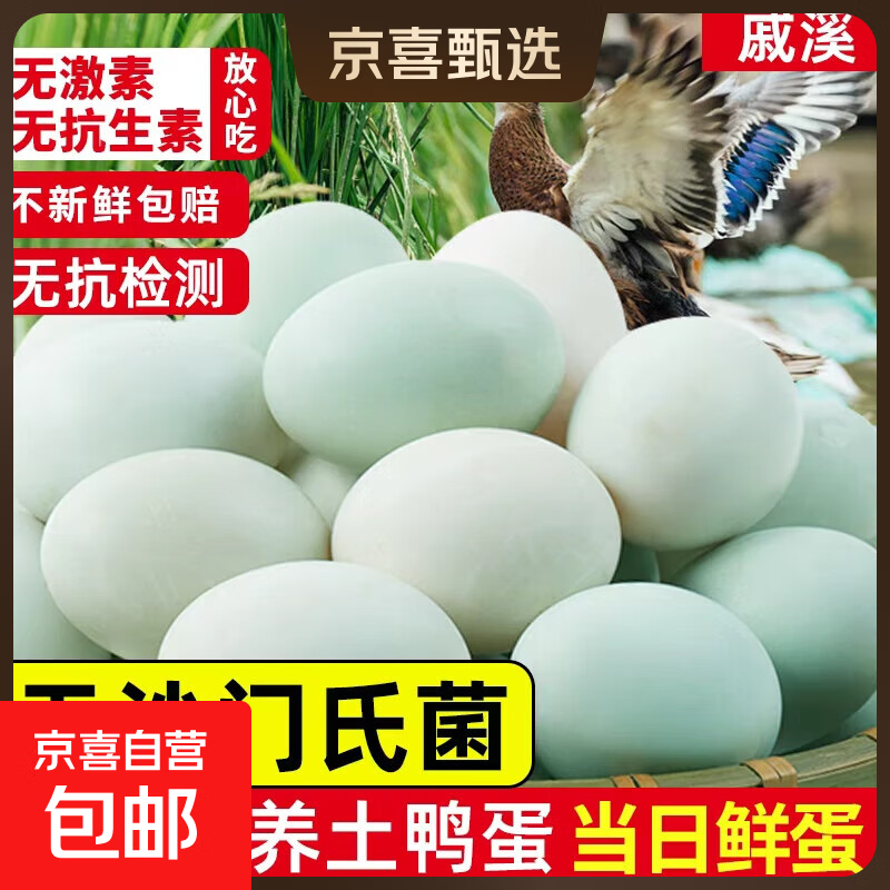 【甄选】真无抗散养鸭蛋新鲜绿壳鸭蛋白皮散养鸭蛋孕妇宝宝营养蛋 50-60克6枚新鲜生鸭蛋 【无抗】 林下散养+无抗检测+无沙门氏菌