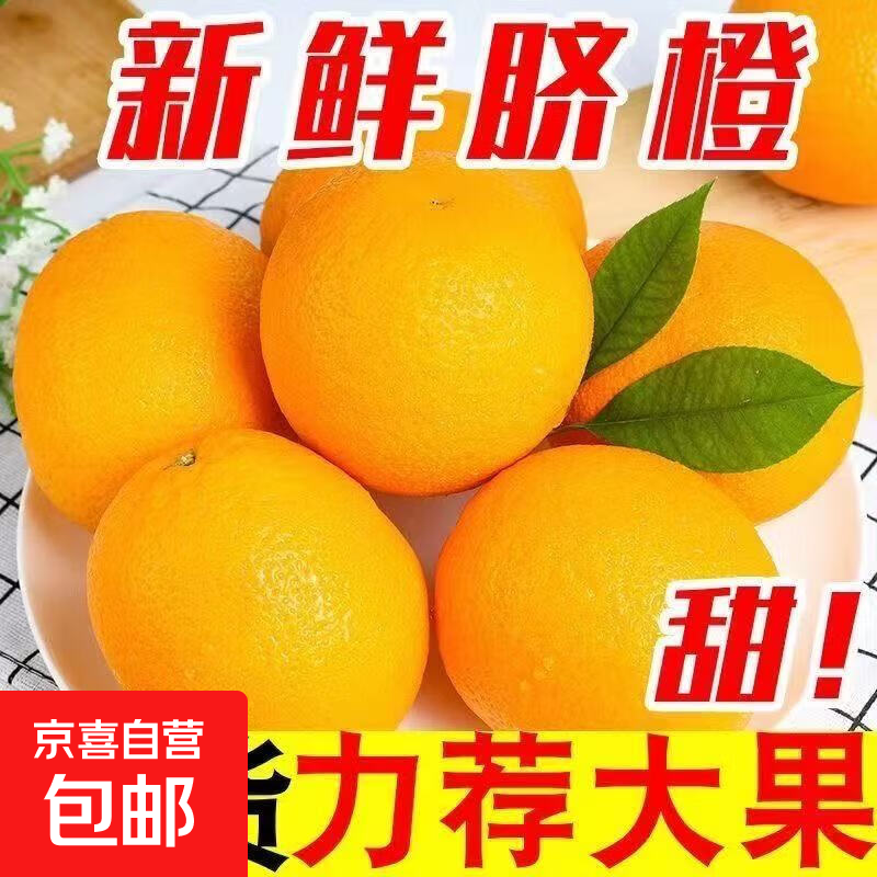 2025纽荷尔脐橙当季产地直发橙子新鲜采摘70mm+ 带箱8斤
