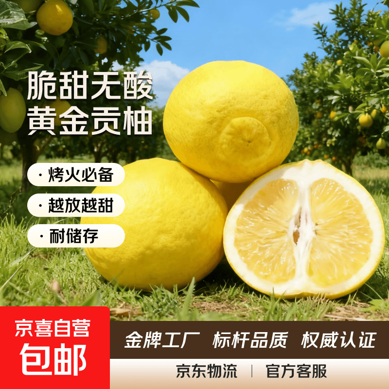 湖南怀化黔阳黄金贡柚春香桔柚新鲜象山青甜雪峰小柚子 带箱2斤净重1.7斤60mm起