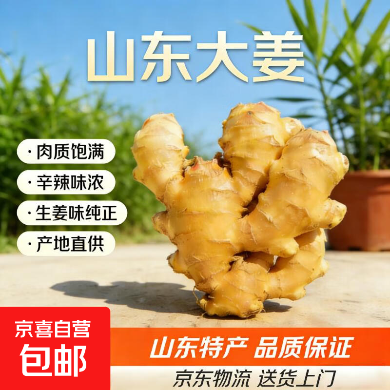 【东东买菜】出口品质山东大姜黄姜超市生鲜蔬菜即食无药残蔬菜 山东大姜250克
