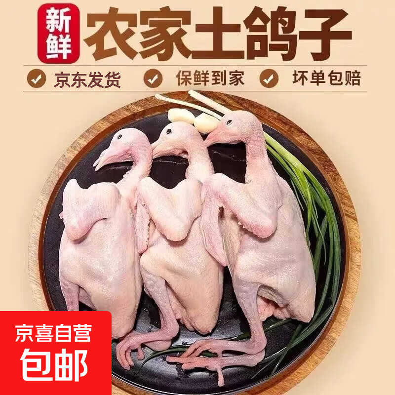新鲜鸽子4只含内脏 69元 - 86线报