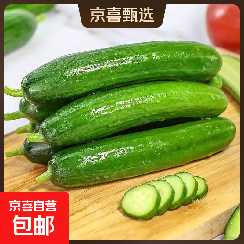 山东小黄瓜新鲜水果黄瓜现摘生吃脆甜青瓜整箱批发 水果黄瓜尝鲜 1斤