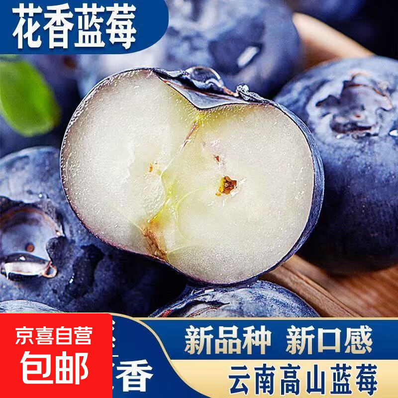 正宗云南高原新鲜采摘蓝莓新鲜水果孕妇宝宝辅食花香蓝莓90-115g 蓝莓小果单果15mm+ 高原蓝莓尝鲜90-115g*1盒装