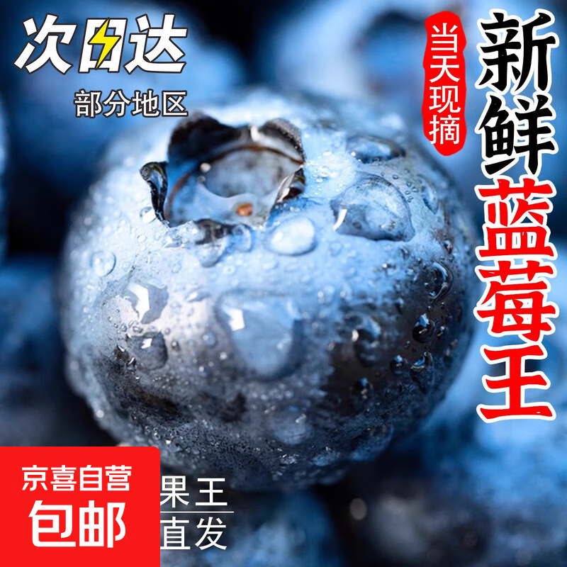 云南高山蓝莓王鲜果当季新鲜现摘花香怡颗甜蓝莓礼盒孕妇水果鑫佳 2盒装 多买多划算【100g-120g/盒】 精品果【单果15mm+】