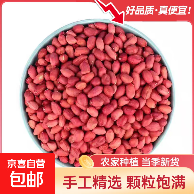2斤红皮生花生米2025年新货新鲜原味不带壳晒干四粒红衣仁小粒豆 红皮花生米100g/袋
