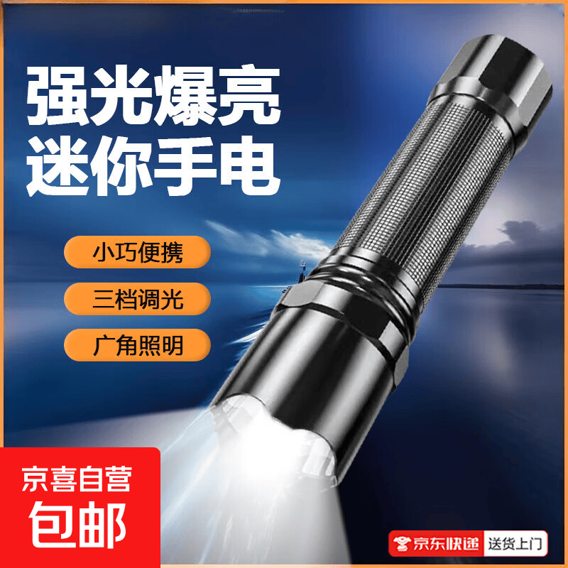 【小巧便携易出行】新款迷你便携手电筒强光远射可充电长续航户外登山探险垂钓应急灯家用起夜照明手电CZ009 【普通版】3档调节+持久续航+大泛光照明