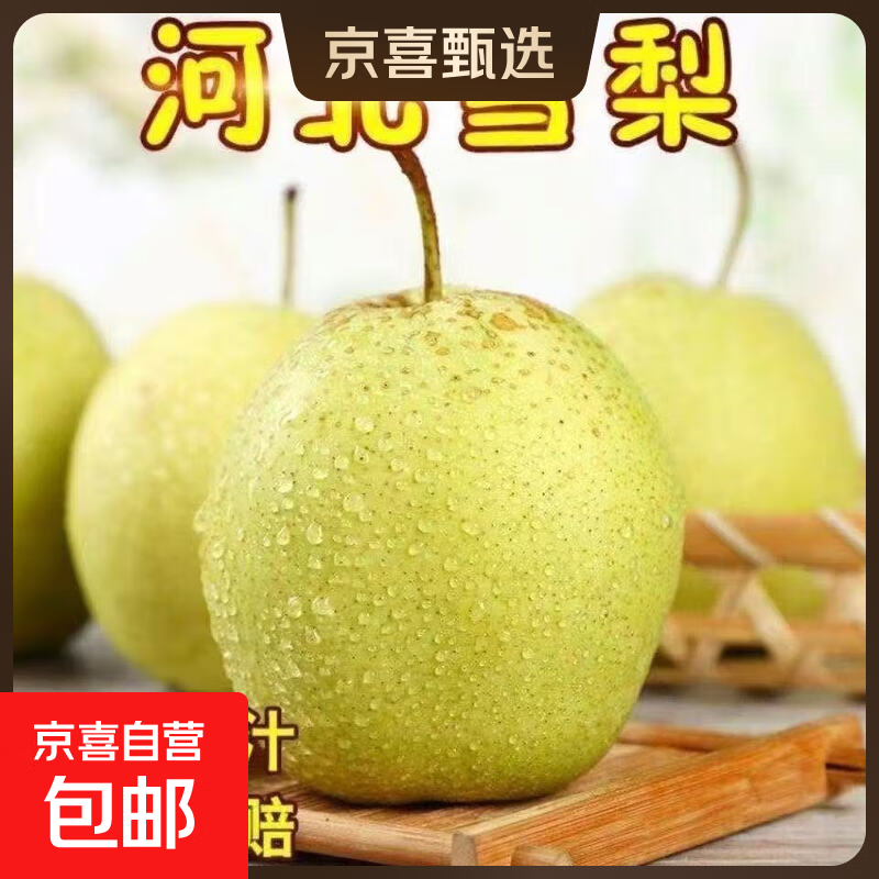 京喜加河北雪花梨赵县雪梨地方特产适合煲汤远达11全站 雪花梨带箱2斤