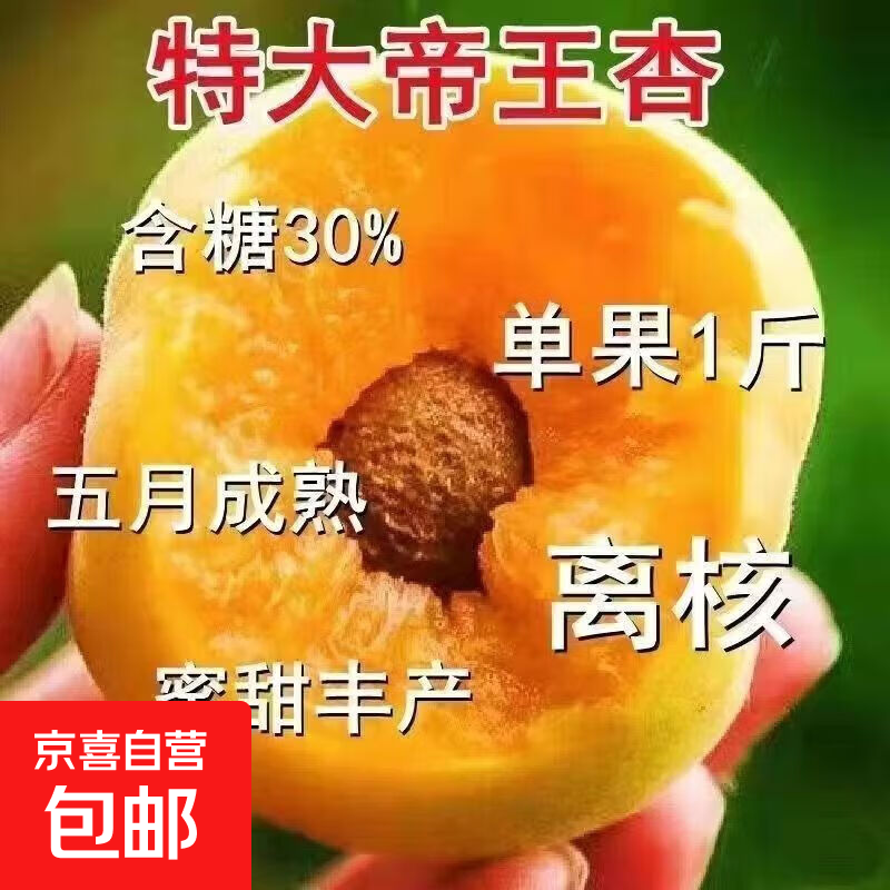 �������� ������޽��������������Ե��� 2���� ��һ��һ 2����� 8.9Ԫ