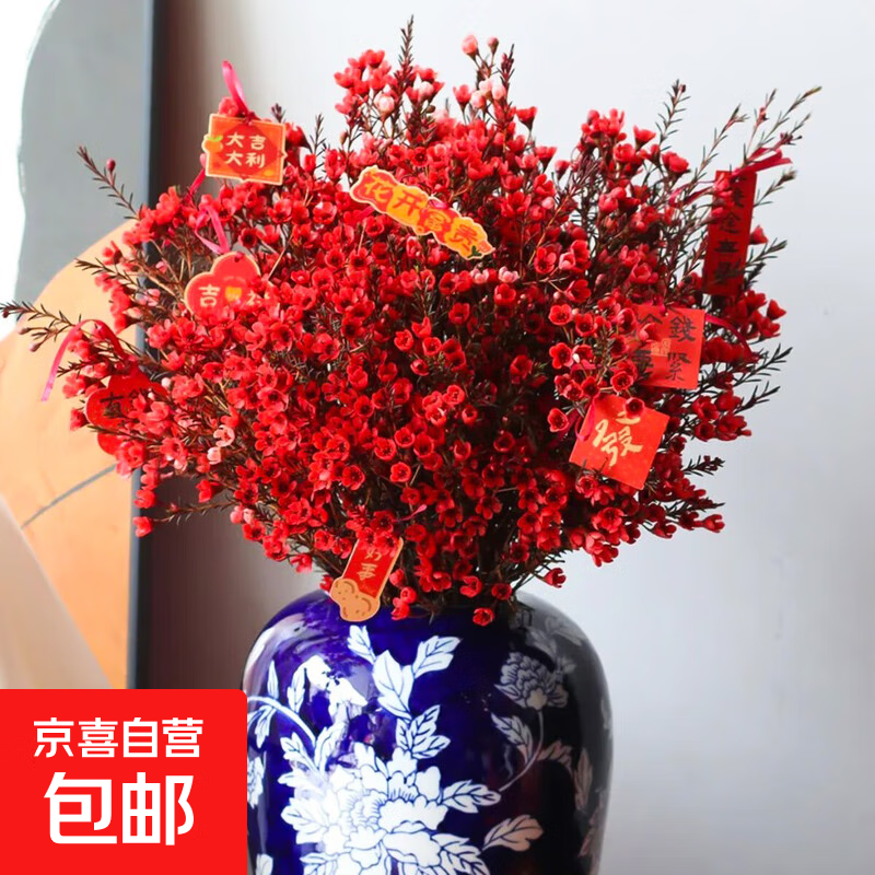 腊梅红色鲜花云南基地直发水养鲜切花卉年宵花生活插花 腊梅红色1扎