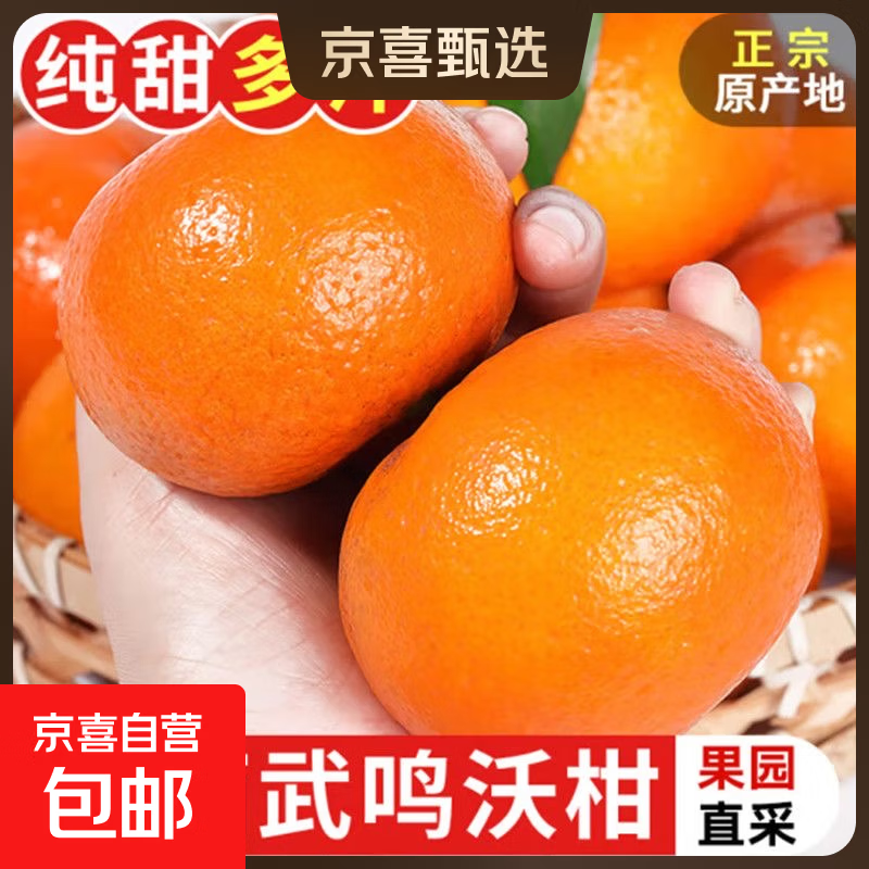 正宗广西武鸣沃柑新鲜现摘现发香甜多汁果园直发 【带箱9斤装】单果70mm+
