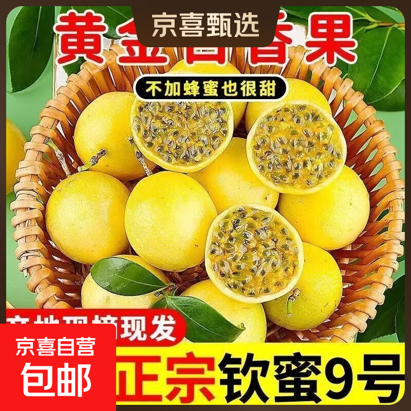 正宗广西钦蜜9号黄金百香果新鲜大果应季现摘当季水果 1斤30-45克黄金百香果