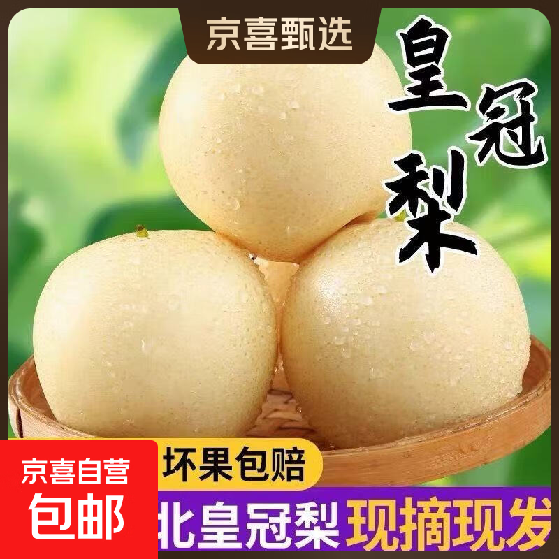 河北皇冠梨水果当季甜脆雪梨应季冰糖梨-远达新9 河北皇冠梨带箱2斤装
