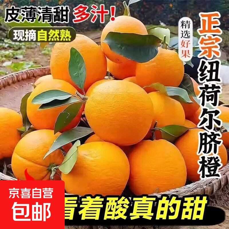 湖北宜昌秭归纽荷尔脐橙超甜孕妇水果新鲜橙子手剥橙产地直发 果径65起 带箱1斤
