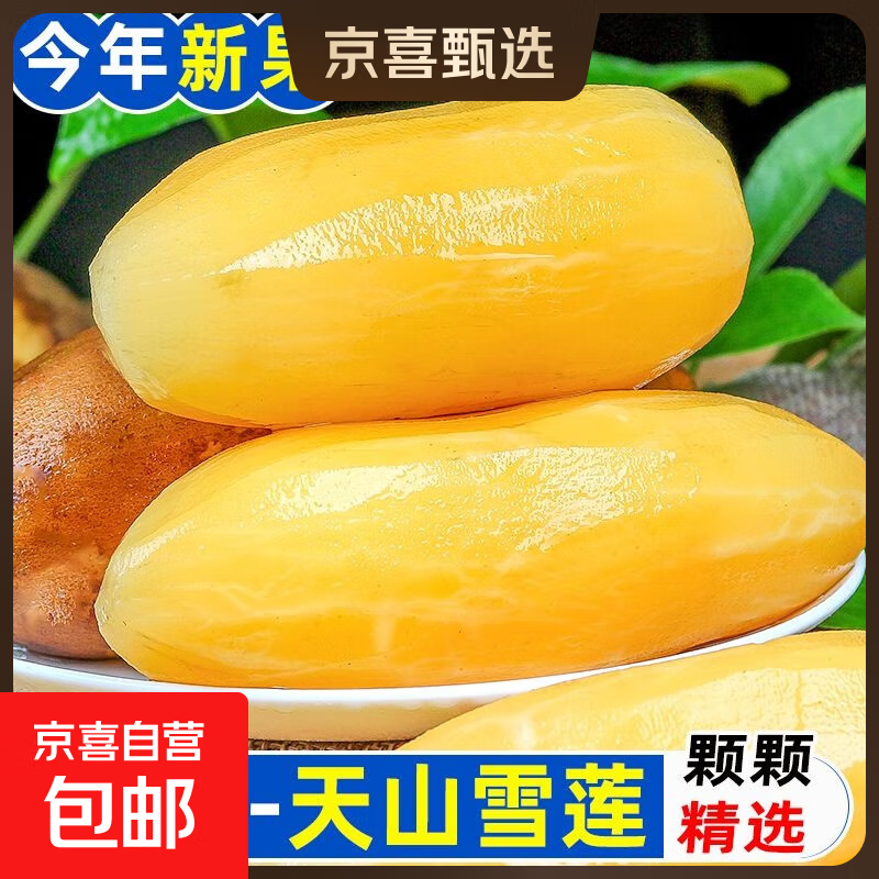 正宗云南天山雪莲果现挖现发高原脆甜雪中仙果当季新鲜水果 6斤