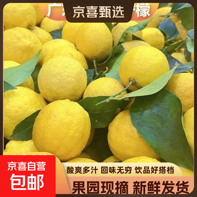 �㶫��ˮ�����ʰ�������ˮ�����ʾ�ѡƤ���̲��ר������ �ֻ� �㶫��ˮ����6��70g+ 4.7Ԫ