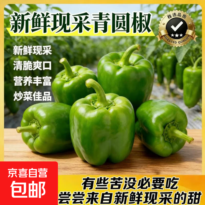 【东东买菜】新鲜青圆椒现摘现发绿圆椒新鲜菜椒柿子椒蔬菜农家 2斤装【新鲜青圆椒】