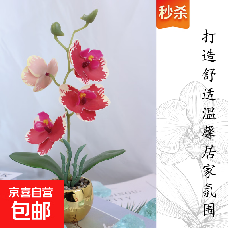 ������Ʒ����������Ҿ�װ��ǰ̨����ڼ��辰 ��ʽ1 3��5ͷ���� 8.9Ԫ